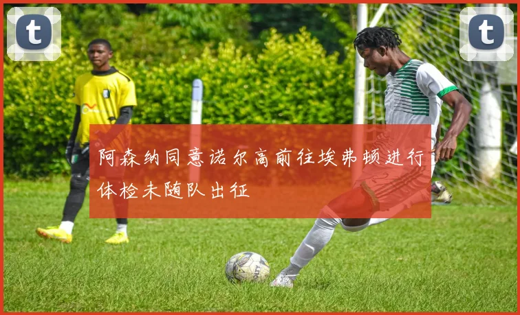 阿森纳同意诺尔高前往埃弗顿进行体检未随队出征